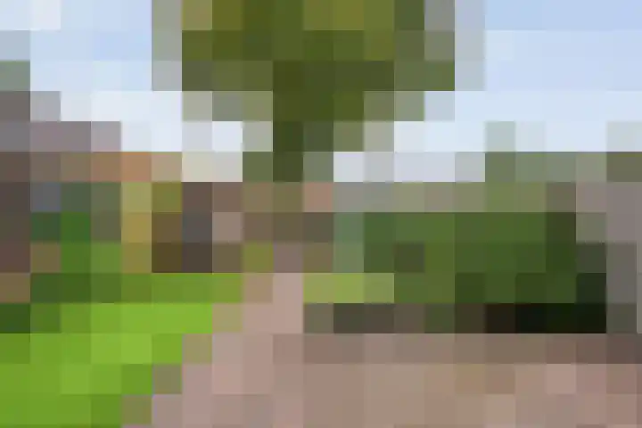 De Zonnedauw 15 Dedemsvaart thumbnail 24
