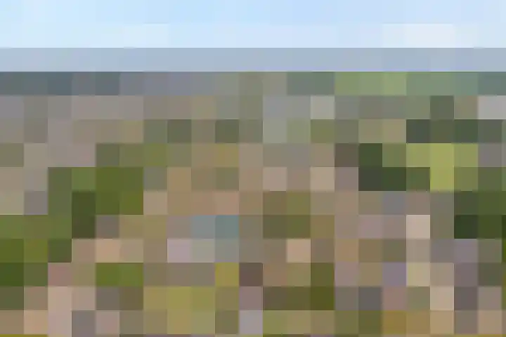 De Zonnedauw 15 Dedemsvaart thumbnail 25