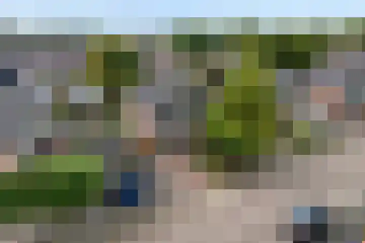 De Zonnedauw 15 Dedemsvaart thumbnail 4