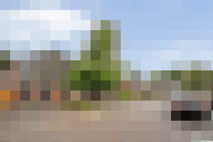 De Zonnedauw 15 Dedemsvaart thumbnail 5