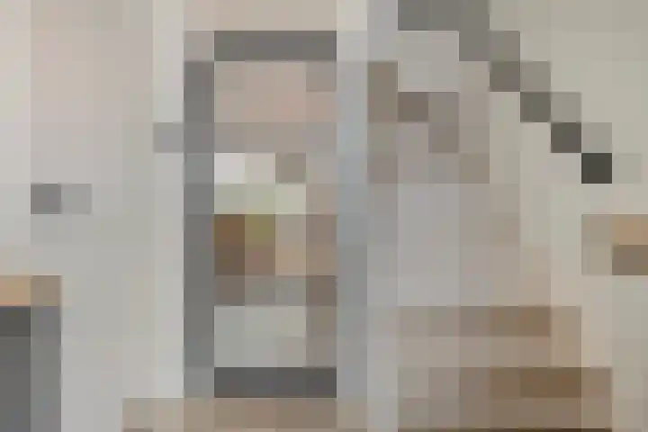 De Zonnedauw 15 Dedemsvaart thumbnail 6