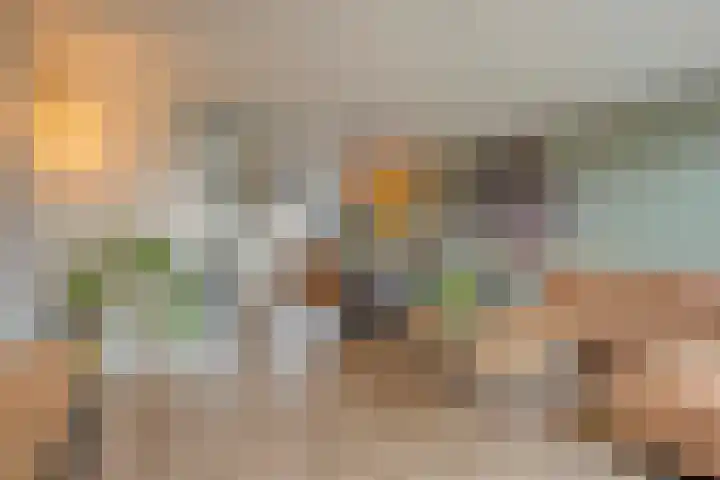 De Zonnedauw 15 Dedemsvaart thumbnail 8