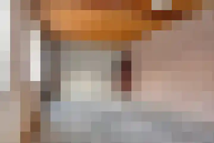 De Zonnedauw 17 Venhorst thumbnail 15
