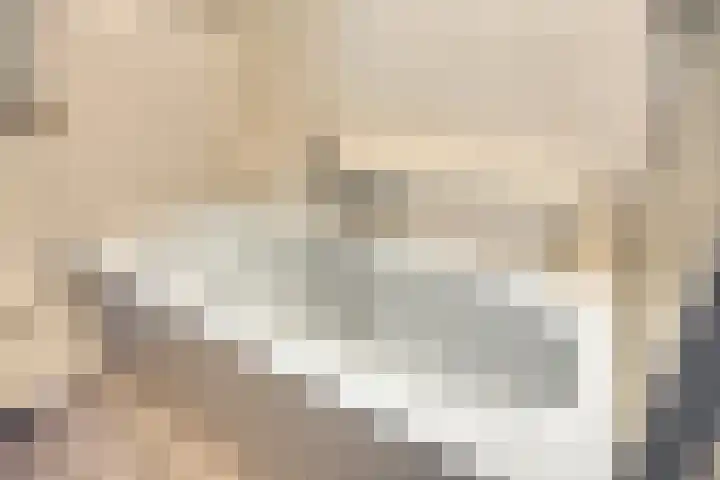 De Zonnedauw 17 Venhorst thumbnail 22