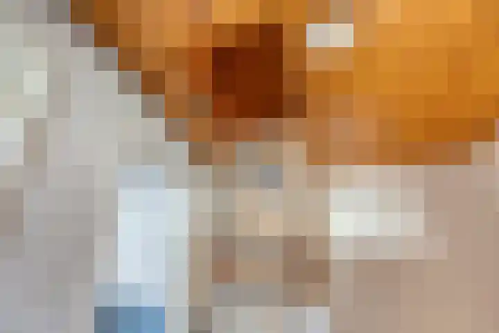De Zonnedauw 17 Venhorst thumbnail 28