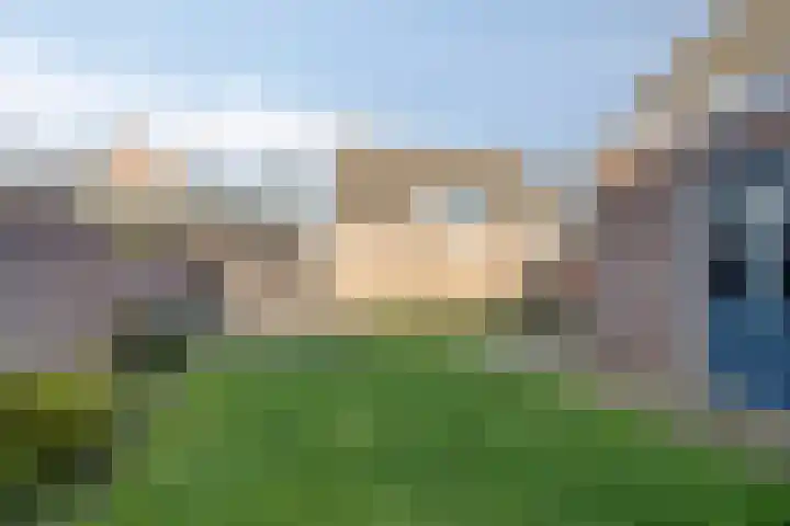 De Zonnedauw 17 Venhorst thumbnail 31
