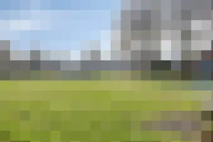 De Zonnedauw 17 Venhorst thumbnail 37