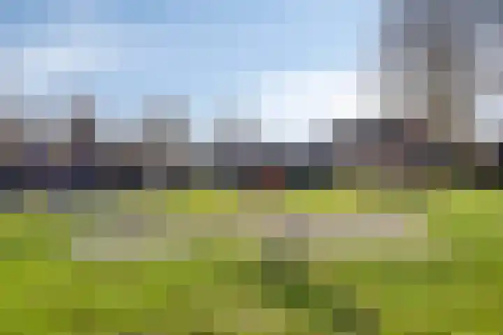 De Zonnedauw 17 Venhorst thumbnail 38