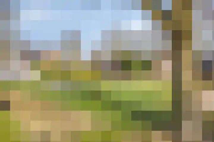 De Zonnedauw 17 Venhorst thumbnail 39