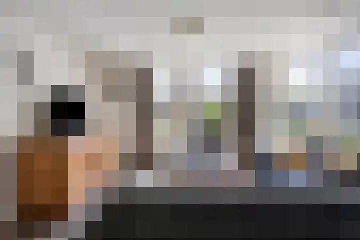 De Zonnedauw 25 Venhorst thumbnail 10