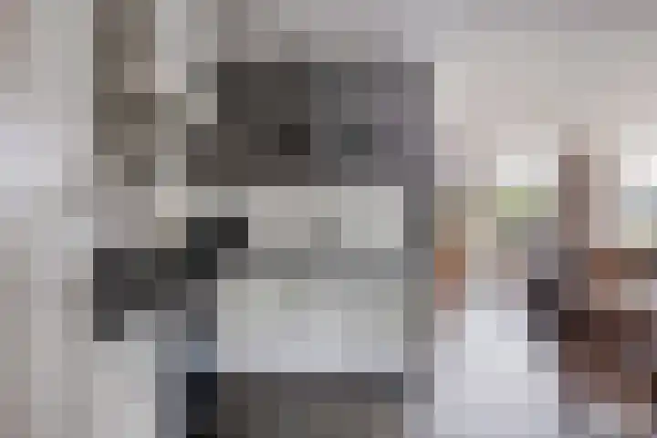 De Zonnedauw 25 Venhorst thumbnail 15