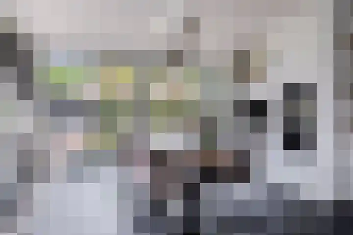 De Zonnedauw 25 Venhorst thumbnail 19