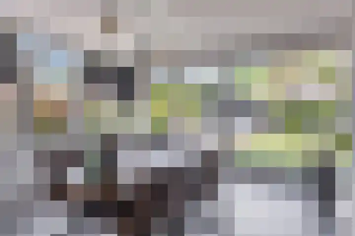 De Zonnedauw 25 Venhorst thumbnail 20