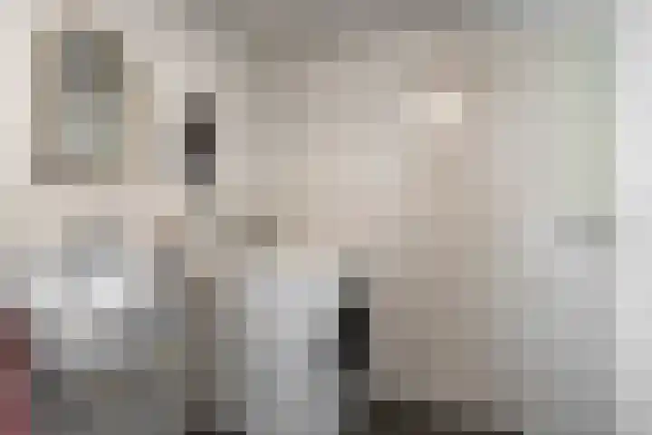 De Zonnedauw 25 Venhorst thumbnail 22