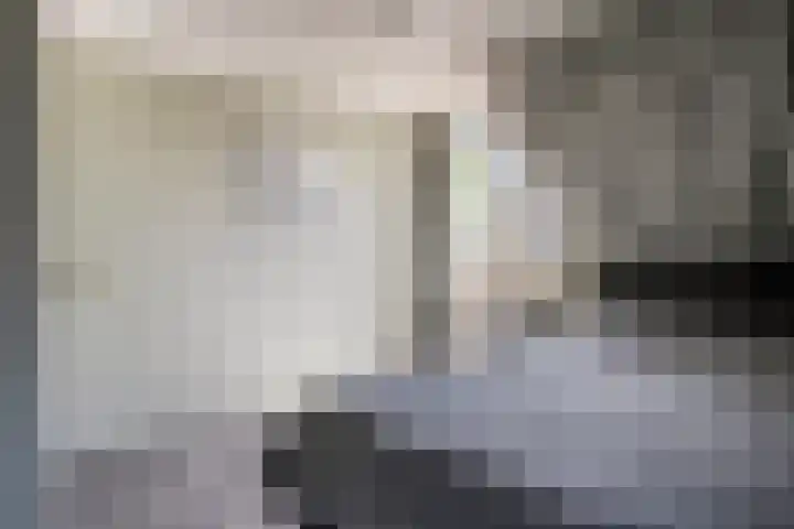 De Zonnedauw 25 Venhorst thumbnail 29