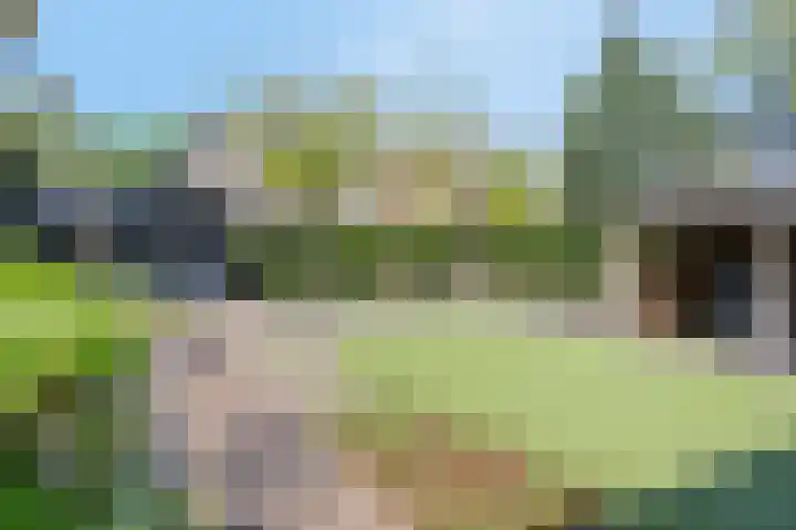 De Zonnedauw 25 Venhorst thumbnail 37