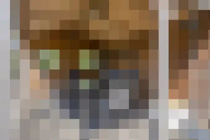 De Zonnedauw 25 Venhorst thumbnail 39