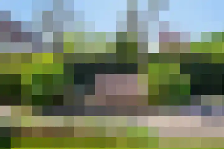 De Zonnedauw 25 Venhorst thumbnail 40