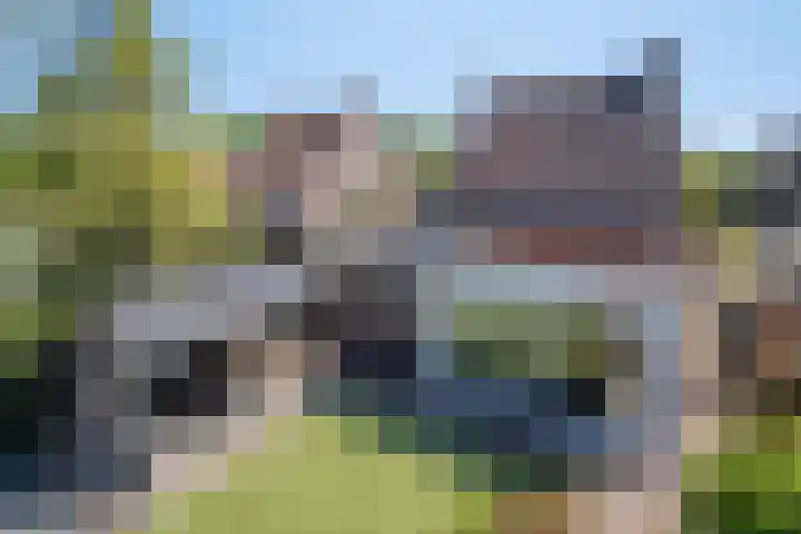 De Zonnedauw 25 Venhorst thumbnail 44