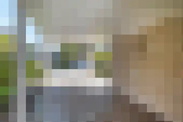 De Zonnedauw 25 Venhorst thumbnail 46