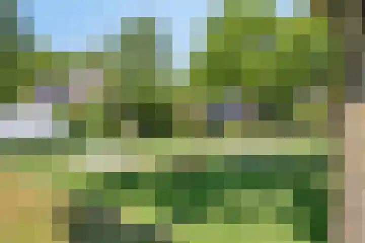 De Zonnedauw 25 Venhorst thumbnail 48