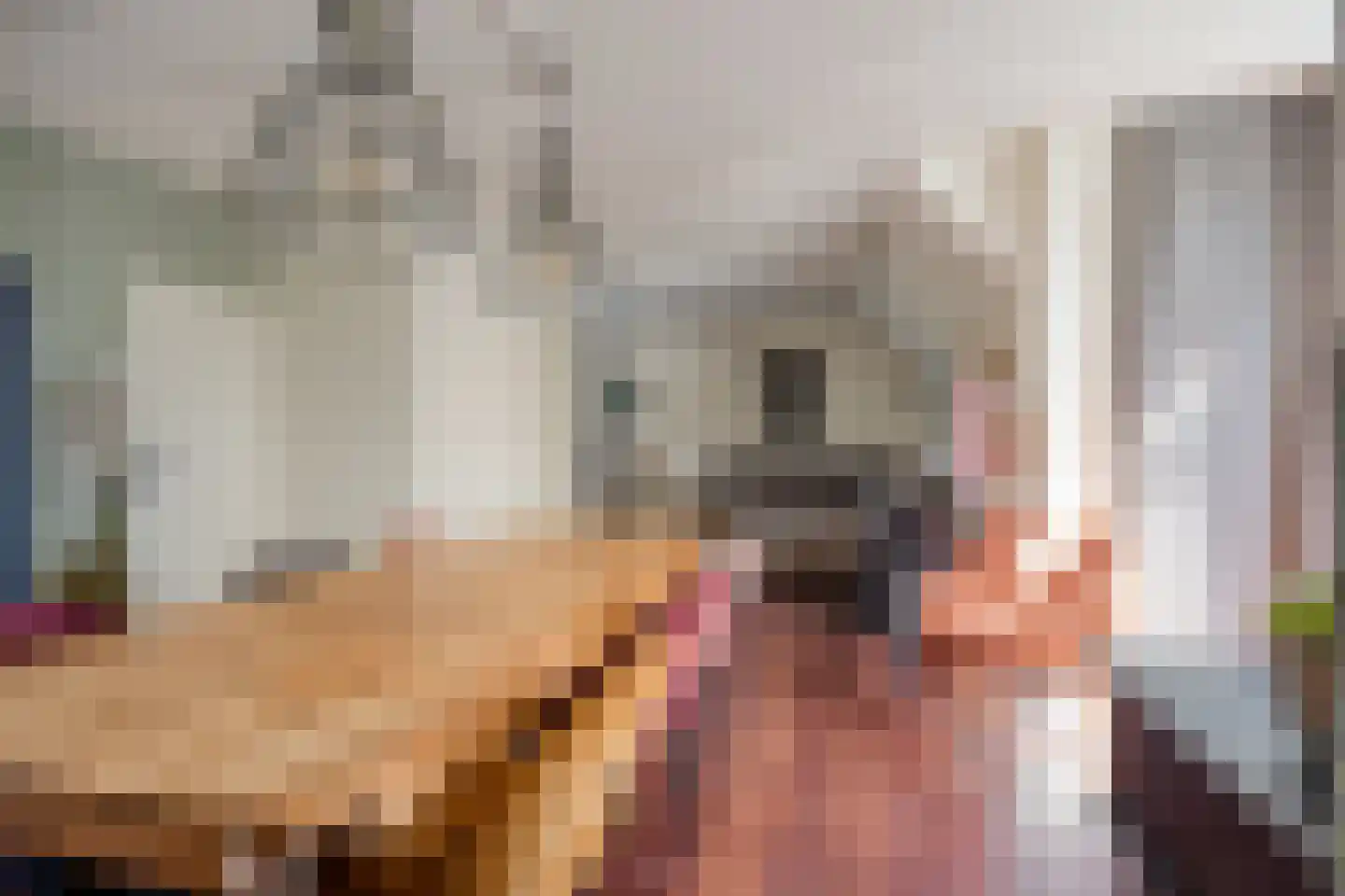 De Zonnedauw 26 Venhorst thumbnail 13