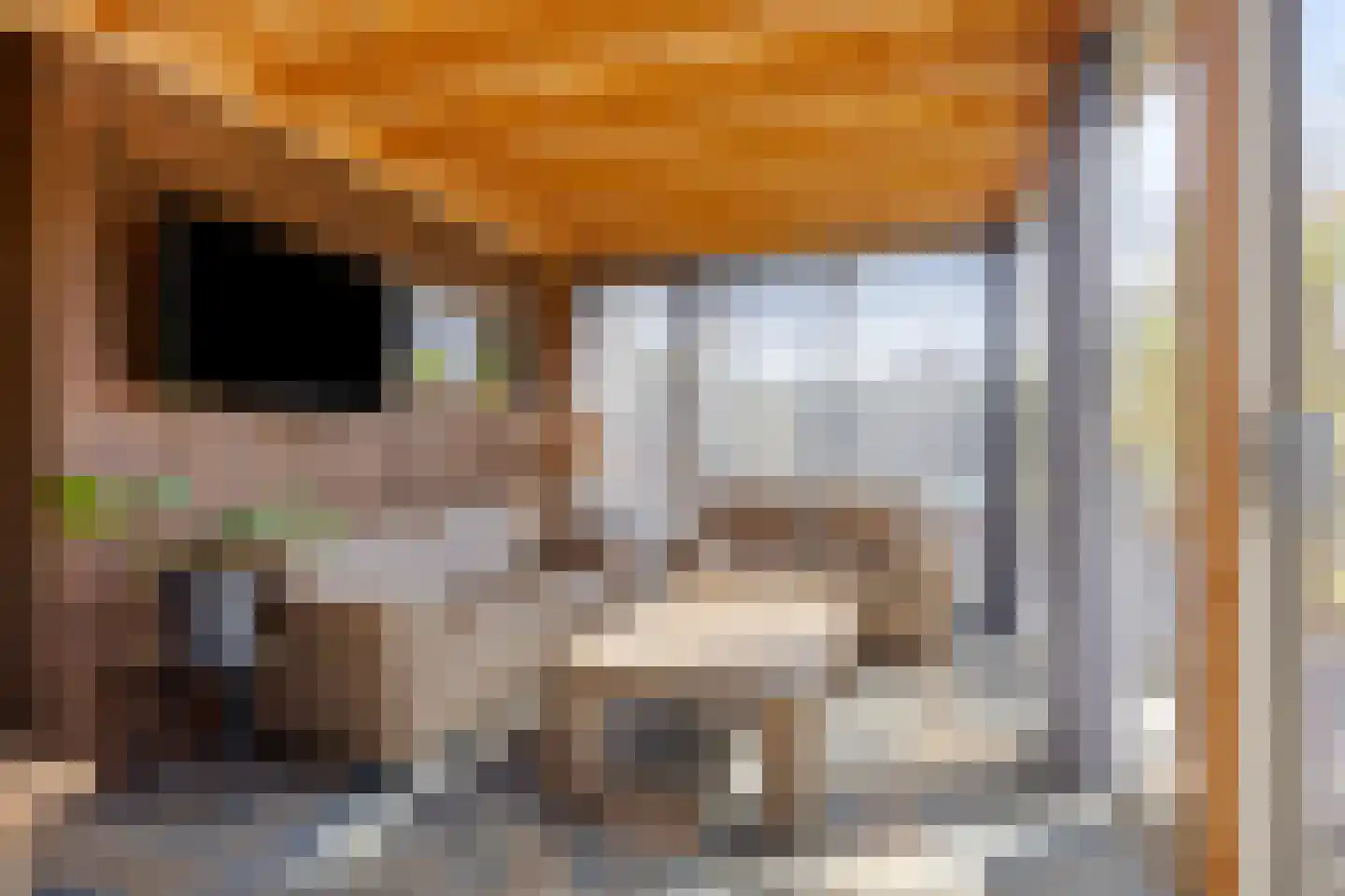 De Zonnedauw 26 Venhorst thumbnail 25