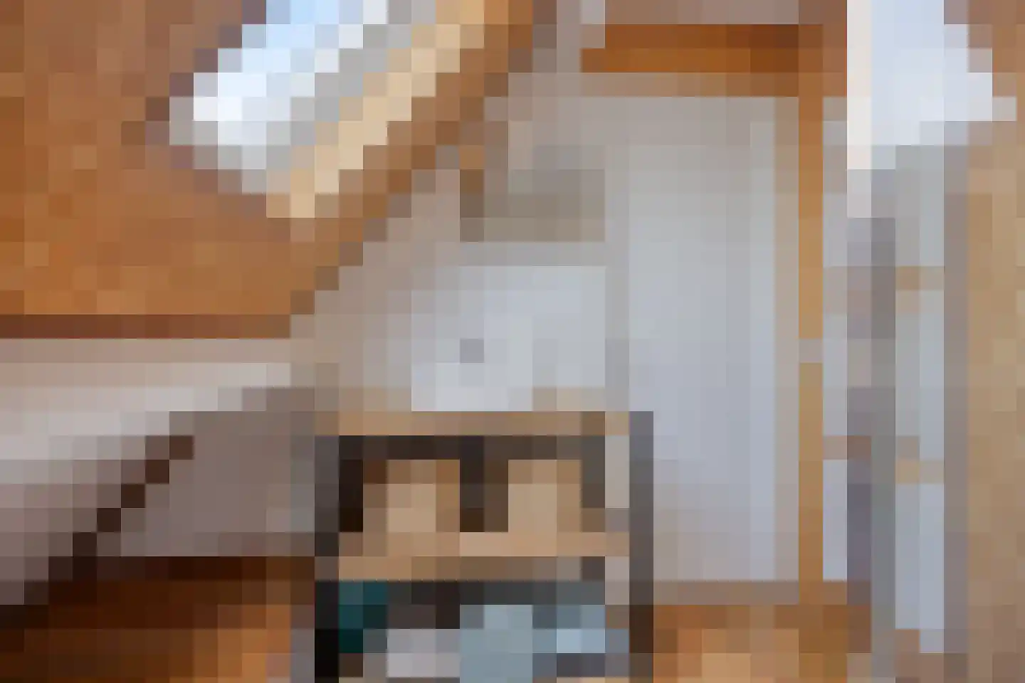 De Zonnedauw 26 Venhorst thumbnail 34