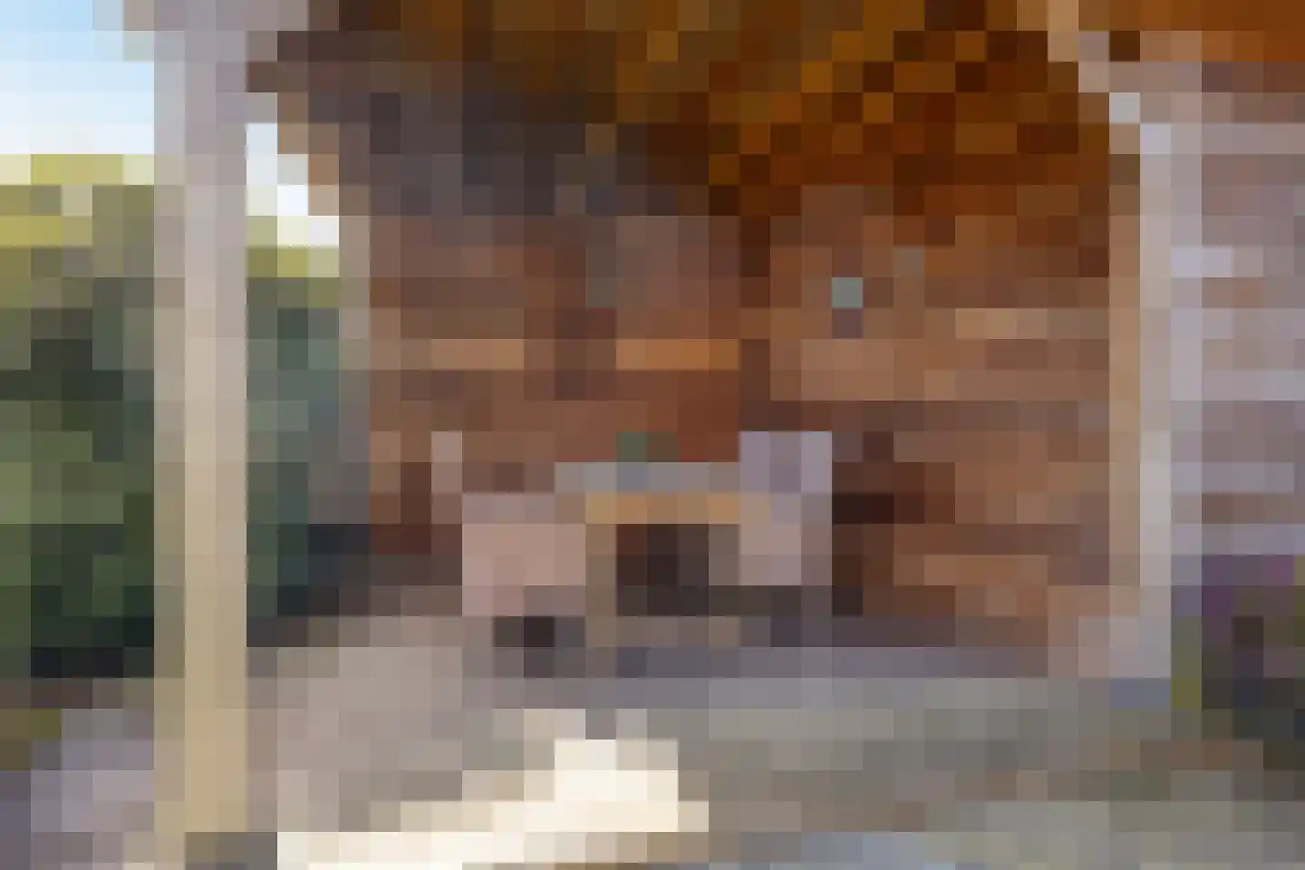 De Zonnedauw 26 Venhorst thumbnail 36