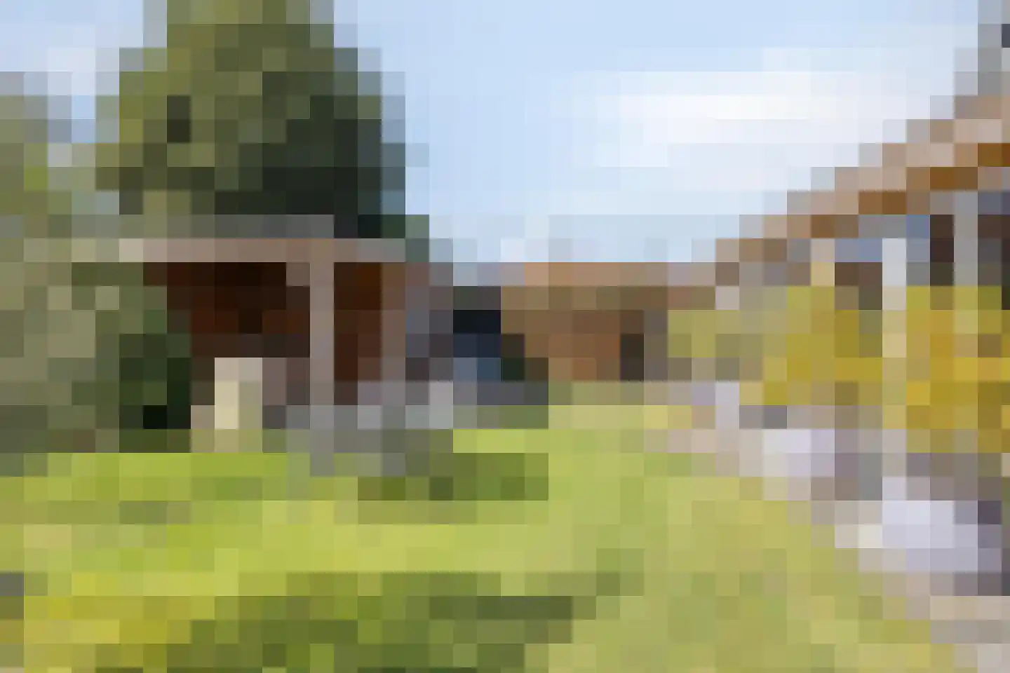 De Zonnedauw 26 Venhorst thumbnail 38