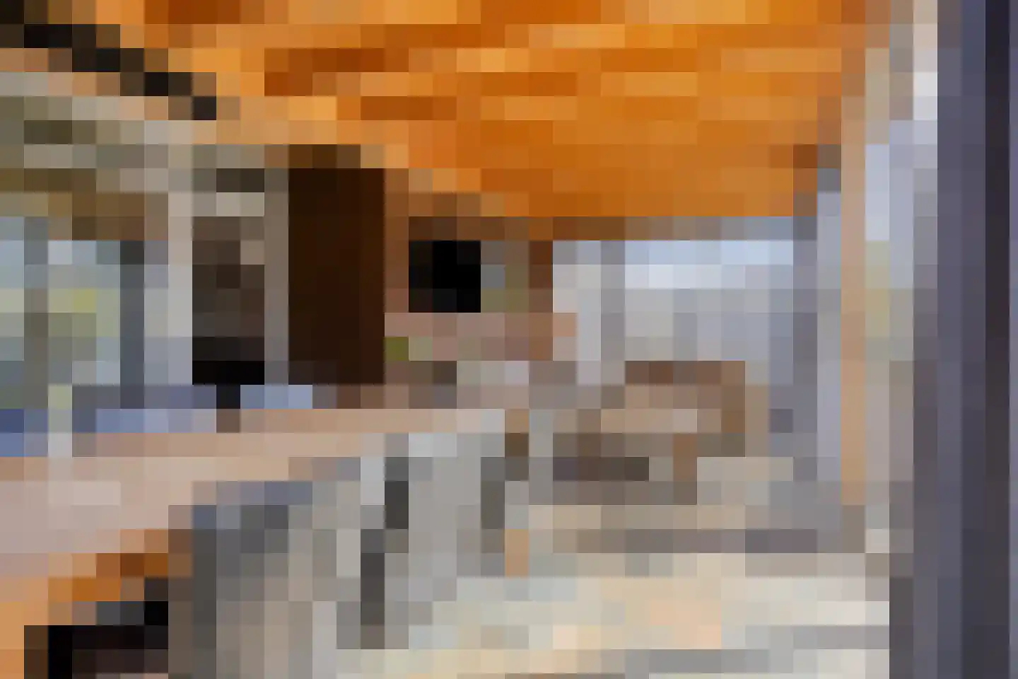 De Zonnedauw 26 Venhorst thumbnail 4