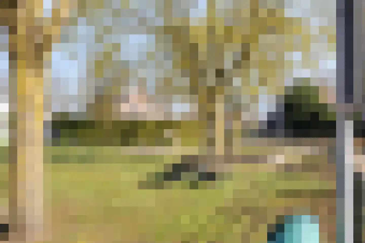 De Zonnedauw 26 Venhorst thumbnail 41