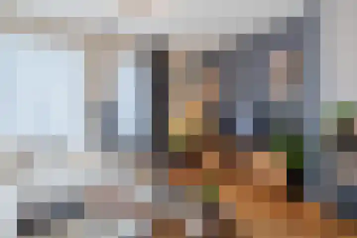 De Zonnedauw 37 Venhorst thumbnail 16