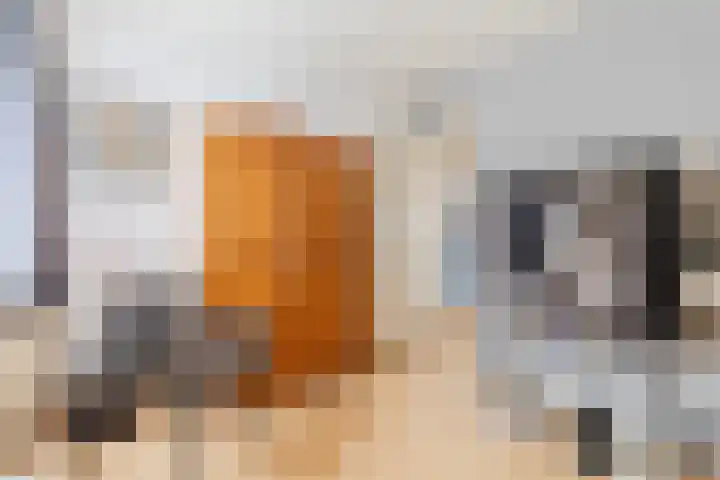 De Zonnedauw 37 Venhorst thumbnail 28