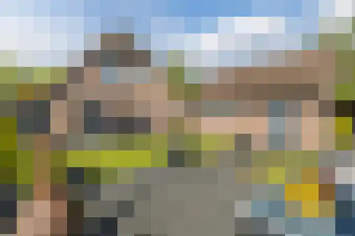 De Zonnedauw 37 Venhorst foto 3