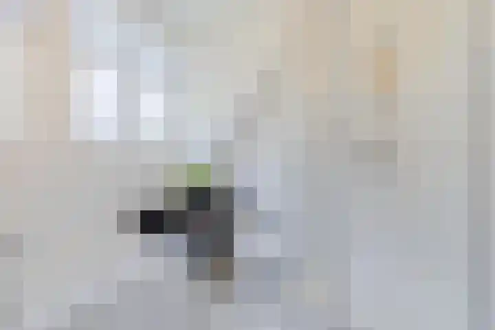 De Zonnedauw 37 Venhorst thumbnail 34