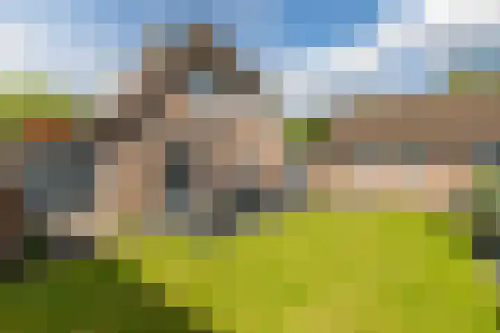 De Zonnedauw 37 Venhorst thumbnail 40