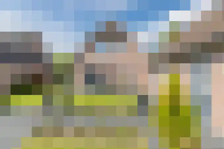 De Zonnedauw 37 Venhorst thumbnail 41