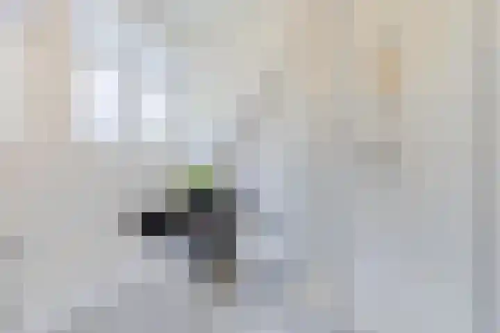 De Zonnedauw 37 Venhorst thumbnail 5