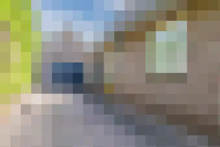 De Zonnedauw 37 Venhorst thumbnail 50