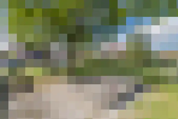 De Zonnedauw 37 Venhorst thumbnail 51