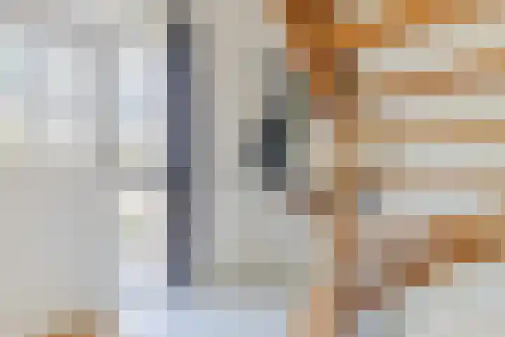 De Zonnedauw 37 Venhorst thumbnail 6