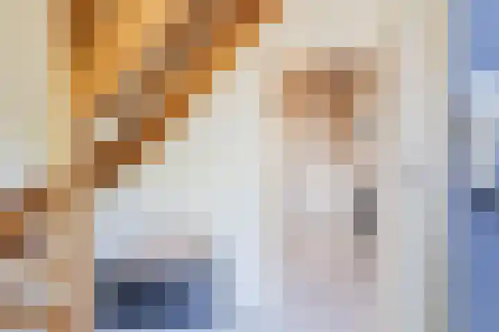 De Zonnedauw 37 Venhorst thumbnail 7