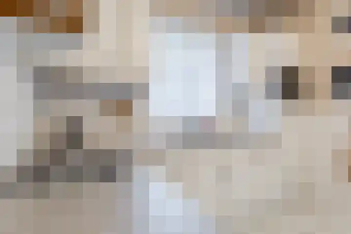 De Zonnedauw 37 Venhorst thumbnail 9