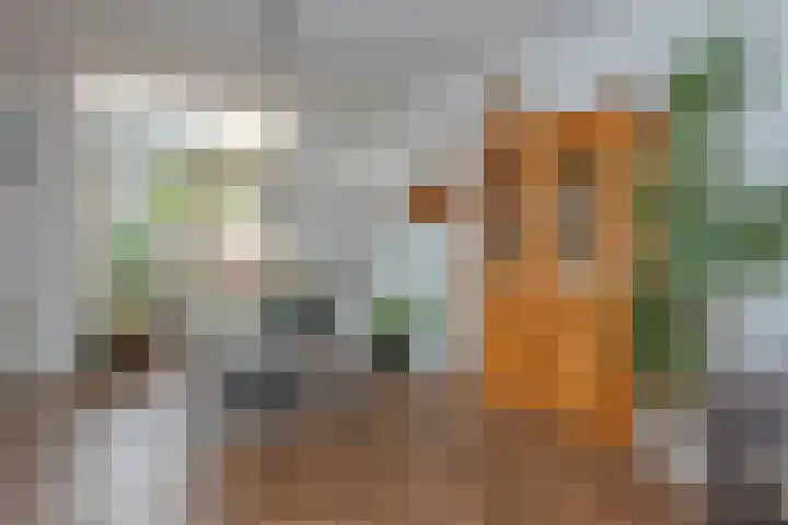 De Zoom 10 't Harde thumbnail 10