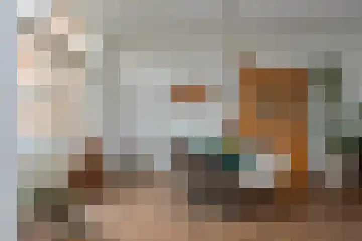 De Zoom 10 't Harde thumbnail 11