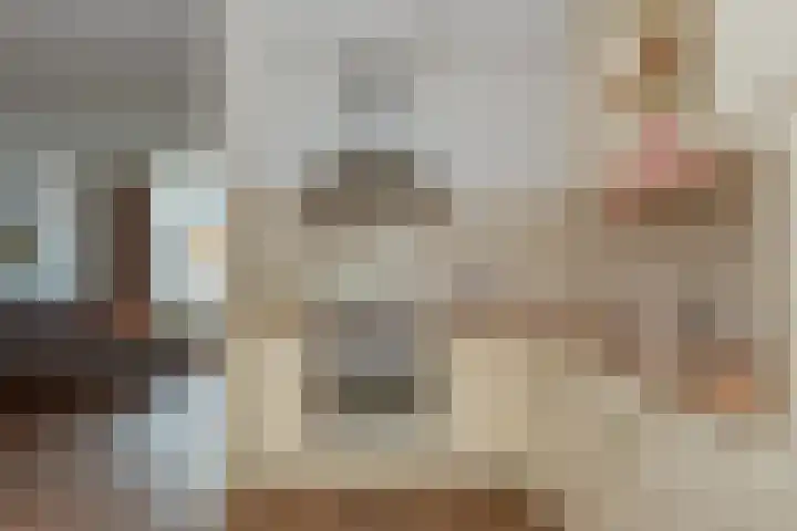 De Zoom 10 't Harde thumbnail 13