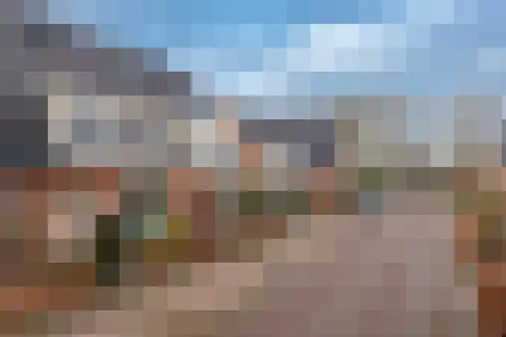 De Zoom 10 't Harde foto 2
