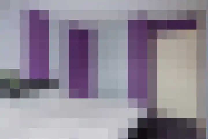 De Zoom 10 't Harde thumbnail 20