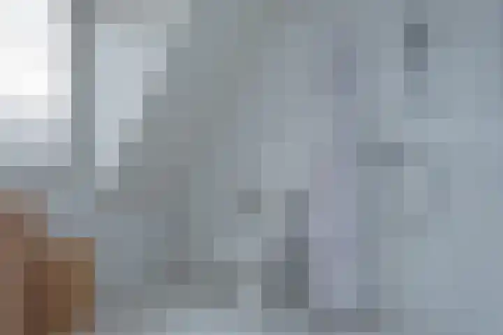 De Zoom 10 't Harde thumbnail 26